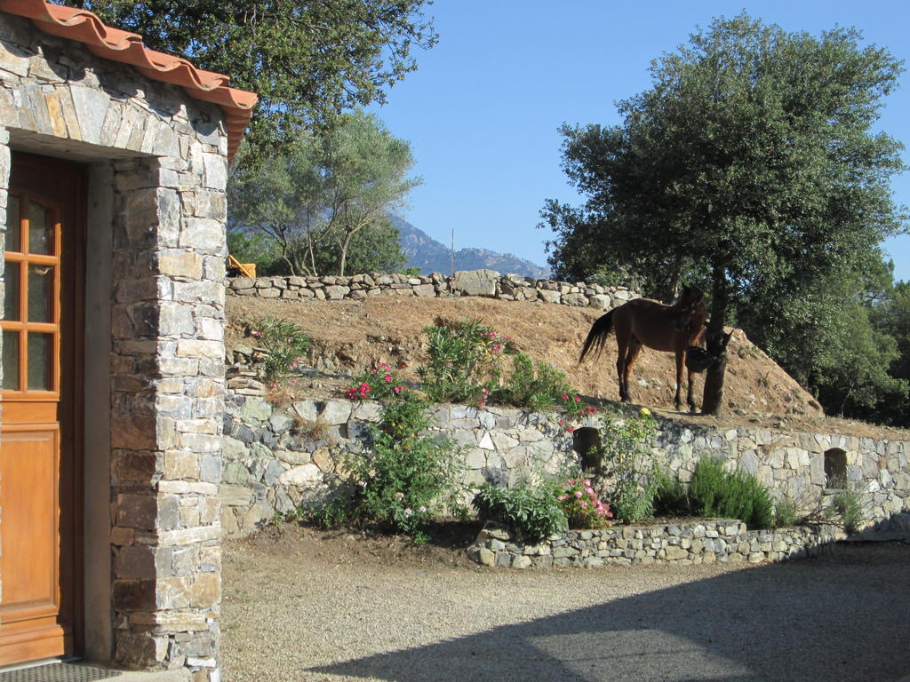 L'Albadu Villa Corte  Bagian luar foto